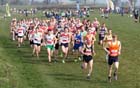 Red start North East Harrier League, Prudhoe, Northumberland.